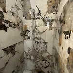 Vatican Luxury Penzion